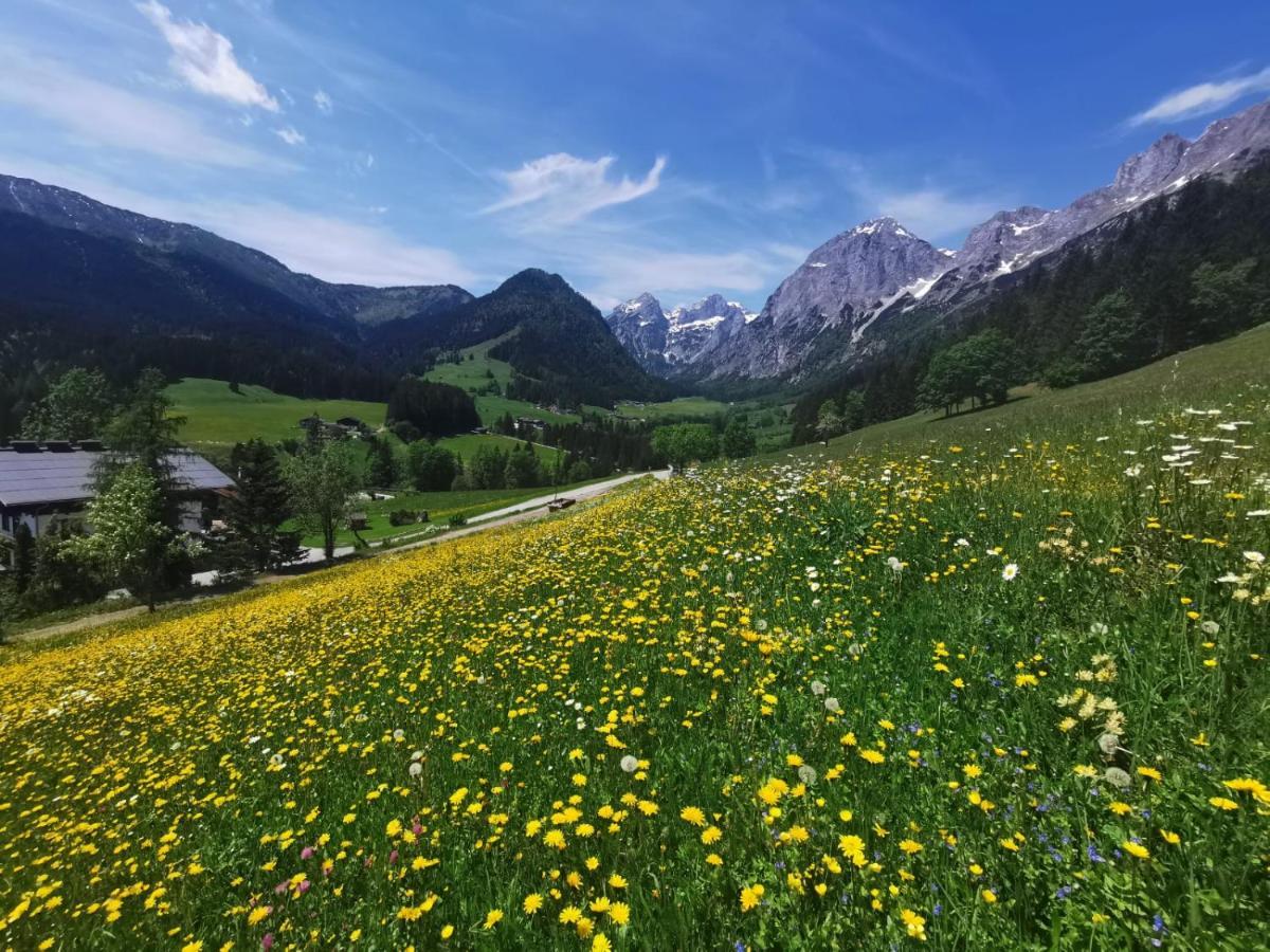 Helle Ferienwohnung Saunahaus Annaberg im Lammertal Exterior foto