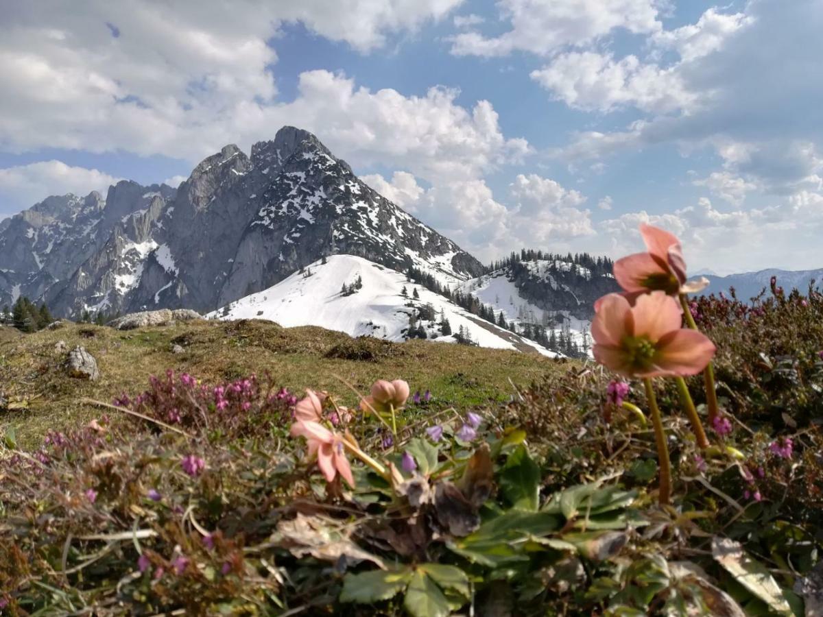 Helle Ferienwohnung Saunahaus Annaberg im Lammertal Exterior foto